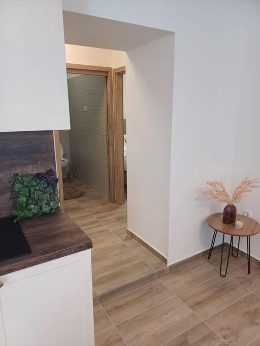 Central Vita Apartment Rijeka Ngoại thất bức ảnh